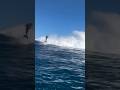 I Delfini Sono I Veri Messaggeri Del Mare рџЊЉ Sendit Goodforit I Delfini Sono I Veri Messaggeri Del Mare рџЊЉ Sendit Goodforit
