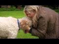 Paul O Grady For The Love Of Dogs S03E01 480p HDTV x264 mSD