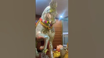 Ramdev Ji Leela #ramdev #status #statusvideo #jaisalmer #jaibabaki #travel #turismo #turist