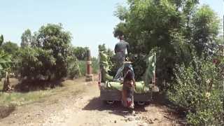 Silesh Bhai the Watermelon, Banana & Mango farmer, Ugat, Navsari, Gujarat, India; 20th May 2012