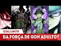 O QUÃO PODEROSO É GON ADULTO?ELE PODERIA DERROTAR MERUEM?HUNTER X HUNTER