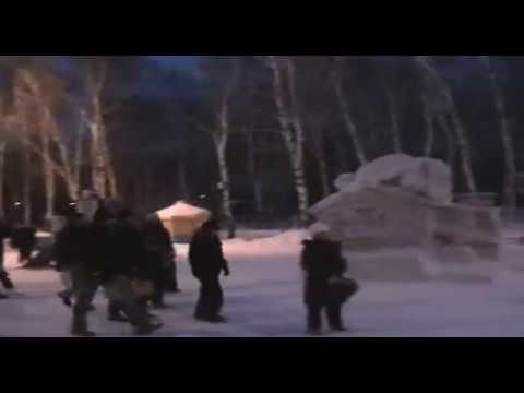 Реймхе в парке, новый 2007 год.