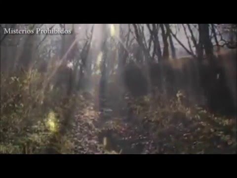 Vídeo: El Secreto Del Bosque Hoya-Bachu. Transilvania. Rumania - Vista Alternativa