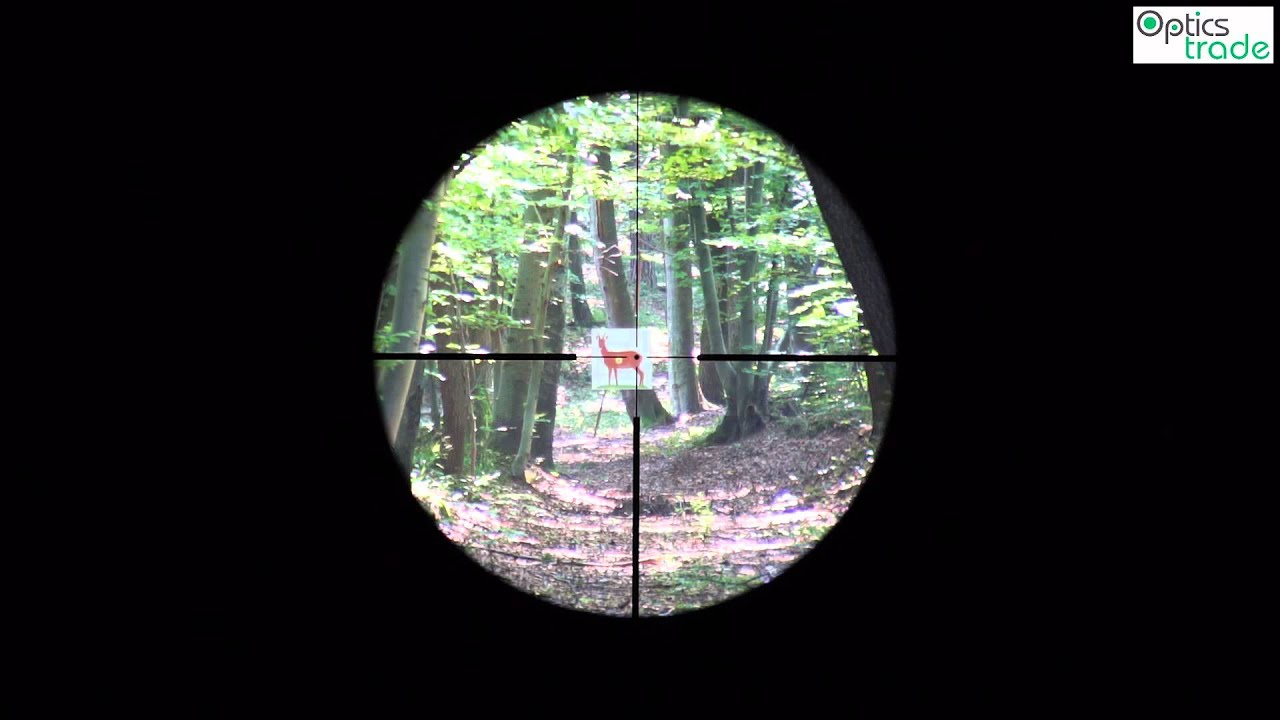 Hawke Endurance 30 1 4x24 Reticle L4A Dot Subtensions YouTube