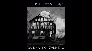 Camisa de Vênus - Agulha no Palheiro (Lyric Video Oficial)