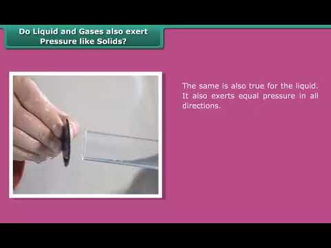 Do Liquid and Gases also Exert Pressure like Solids