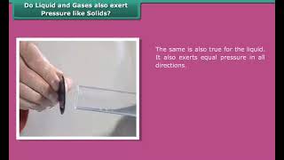 Do Liquid and Gases also Exert Pressure like Solids
