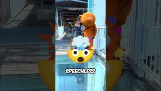 This Bears Job Is Better Than Yours