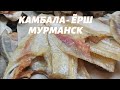 ВКУСНЫЙ ВЯЛЕНЫЙ КАМБАЛА-ЁРШ. ЗОЛОТАЯ РЫБКА ИЗ МУРМАНСКА. &quot;GOLDFISH FROM MURMANSK. FLOUNDER-RUFF&quot;.