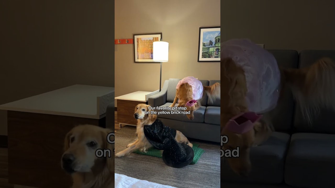 They have been chaaaanged fur good 🩷💚 