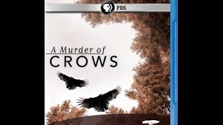 A Murder of Crows BDRip 1080р