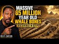Massive 65 Million Year Old Whale Bones Discovered In Egypt by Billy Carson