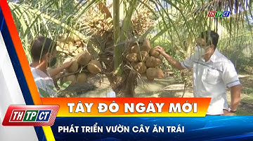 Phát triển vườn cây ăn trái | Cần Thơ TV