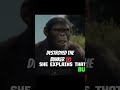 The Clash of Apes and Humans: A Tense Farewell #shorts