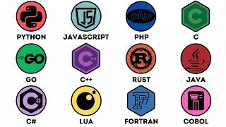 Celebrity Every Programming Language Explained in 8 Minutes Profile