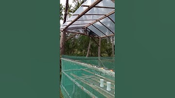 Thumbnail of our DIY greenhouse