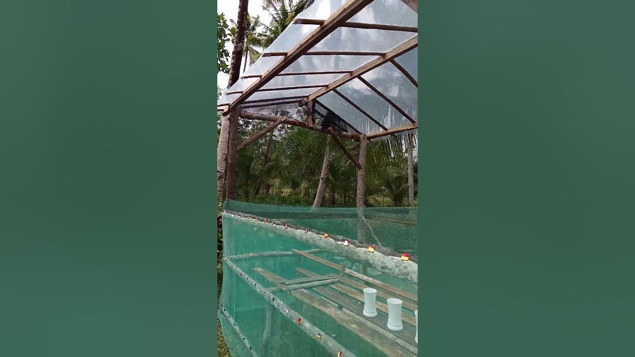 our DIY greenhouse
