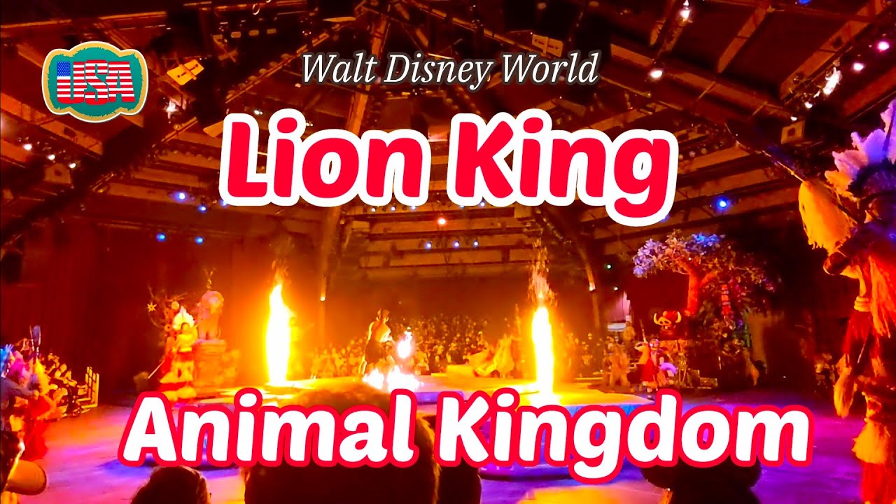 【Lion King】Walt Disney World / Animal Kingdom