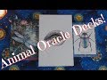 Animal Kin Oracle Walkthrough - and my experience with Animal Oracles