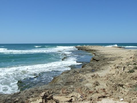 וִידֵאוֹ: חופשה ליד הים - אנאפה