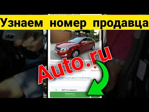 Как узнать РЕАЛЬНЫЙ НОМЕР продавца на Авто.ру ?? Рабочий способ проверить перекупа! #Shorts