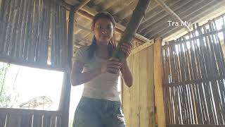 The Girl, Tra My, Was Sleeping Alone At Home When A Masked Intruder Broke In.