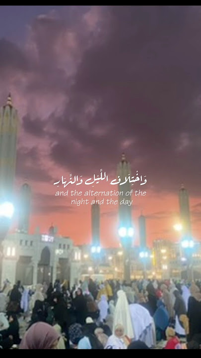 Signs of your lord are all around you #islamicvideo #shortsfeed #shortsvideo #fypage#fypシ゚short #fyp