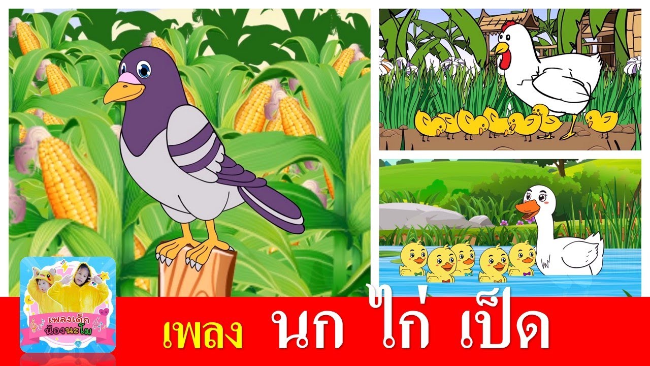 เพลงเด็ก นก  ไก่  เป็ด