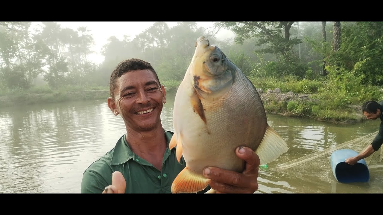 ZÉ MARIA E A PESCARIA DE AÇUDE  NO FUNDO DE CASA