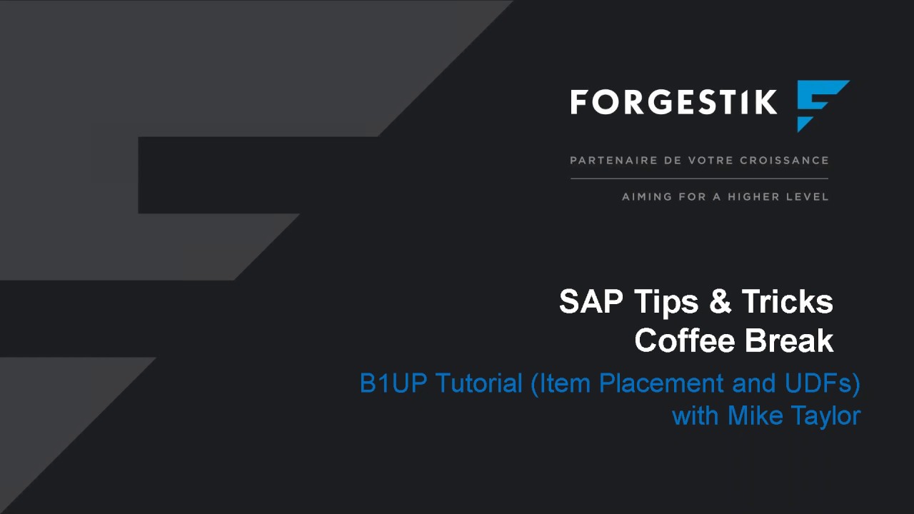 Webinar | Coffee Break | 2019 03 15 |  Boyum B1UP Tutorial  Item Placement and UDFs
