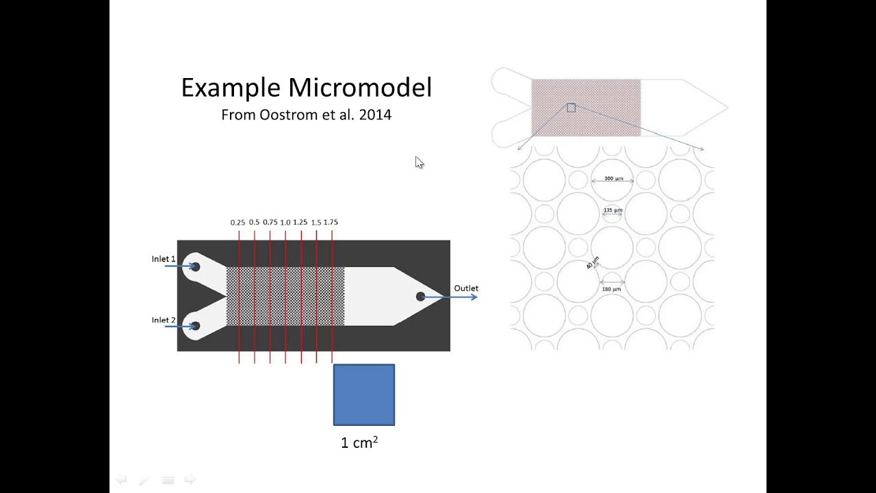 micromodel intro - YouTube