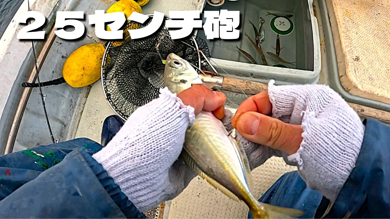 デカアジで泳がせしたらすごかった