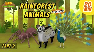 Rainforest Animals (Part 2/3) - Animals Stories for Kids | Educational | Leo the Wildlife Ranger