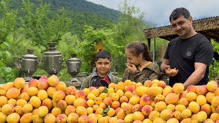 HARVESTING APRICOTS AND MAKING JAM! COOKING TANDOOR BREAD! RURAL OUTDOOR COOKING! VILLAGE LIFE