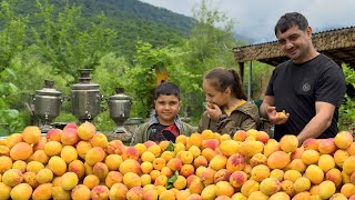 HARVESTING APRICOTS AND MAKING JAM COOKING TANDOOR BREAD RURAL OUTDOOR COOKING VILLAGE LIFE