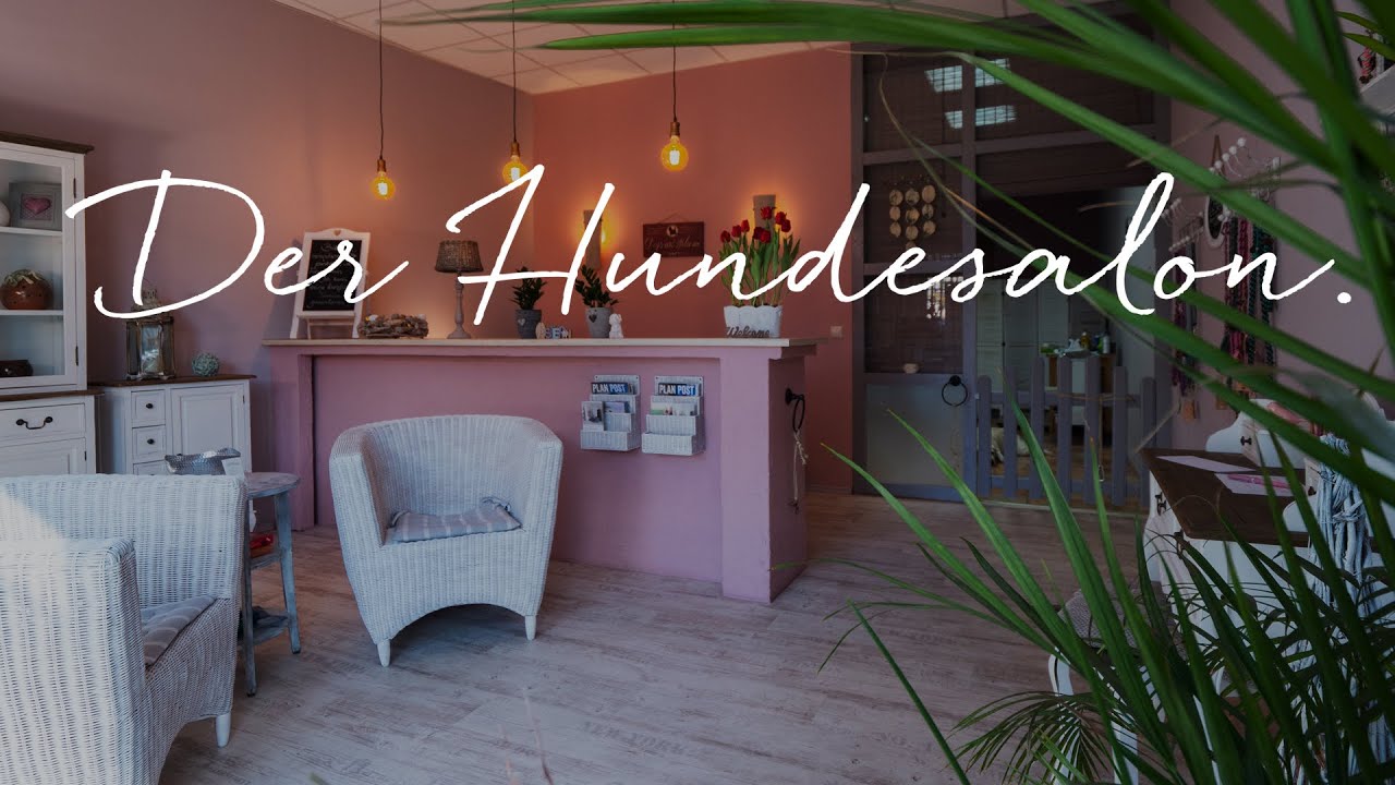 Ein kleiner Rundgang durch meinen Hundesalon.