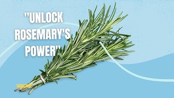 "Unlocking the Power of Rosemary: 10 Mind-Blowing Benefits You NEED to Know! 🌿💥 | Memory &MORE!"