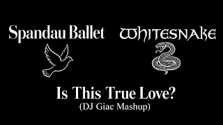 Download lagu Spandau Ballet x Whitesnake - Is This True Love? (DJ Giac Mashup) 