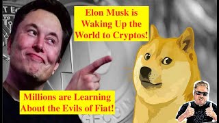 Full CRYPTO ALERT! Elon Musk is a Crypto HERO!! Go Baby Doge! (Bix Weir) Guide