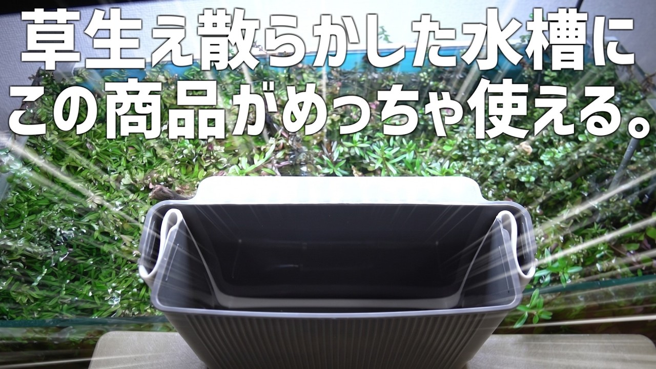 これ良いですよ。どんな水槽にも使える便利ツールを"あの"水槽で使います。#819【アクアリウム】