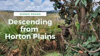 Descending from Horton Plains