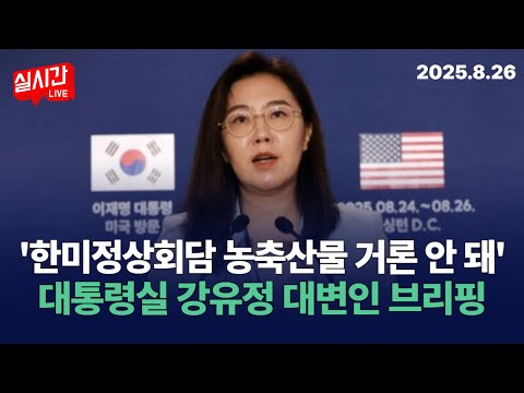 대통령실 '농축산물 추가개방 거론 안해...합의문 필요 없을 정도로 잘된 회담' : 한미정상회담 대통령실 강유정 대변인 브리핑 : 2025년 8월 26일