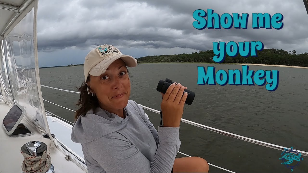 Show me your Monkey 🐒 | Cruising The ICW