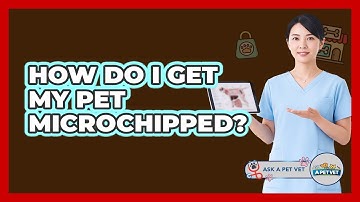 How Do I Get My Pet Microchipped?