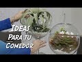 Ideas para Decorar el Comedor /Tips de Decoracion 2019/DIY/Dining room Decorating ideas