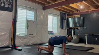 Plank Taps