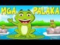 Mga Palaka | Awiting Pambata Tagalog | Filipino Nursery Rhymes Compilation