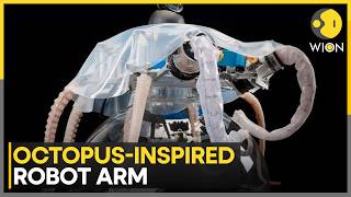 How an Octopus Is Inspiring the Next Generation of Soft Robots | WION News