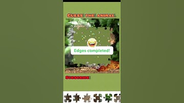 Only Fast Thinkers Solve This Puzzle ⚡ | 3 Seconds Test #viral #shorts