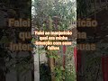 Você pode usar os poderes ocultos das ervas ao seu favor. #herbal #poderes #estocismo